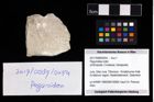 Foto (Objekt + Etikett) von Paguroidea indet.  (NHMW-GEO-2017-0089-0054)